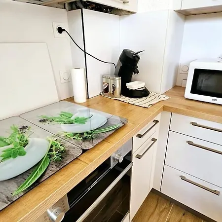 Apartmán L'oiseau Bleu